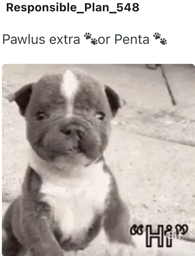 Responsible_Plan_548 Pawlus extra *or Penta ** Hip