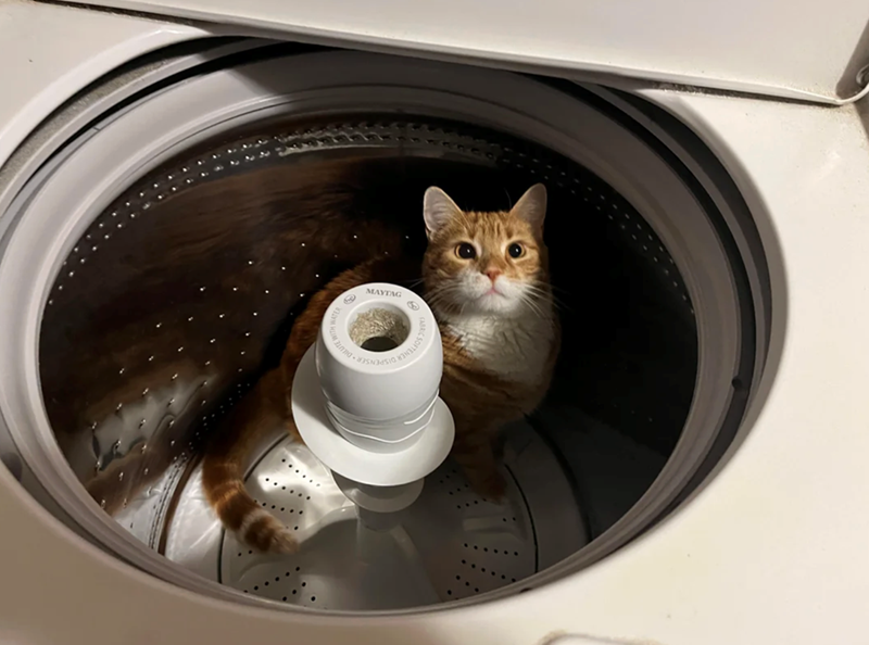 MAYTAG &