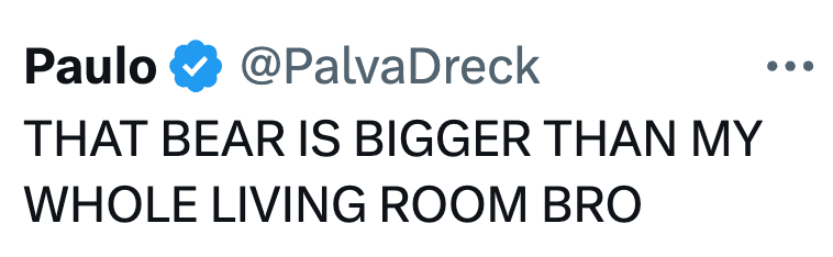 Paulo @PalvaDreck THAT BEAR IS BIGGER THAN MY WHOLE LIVING ROOM BRO