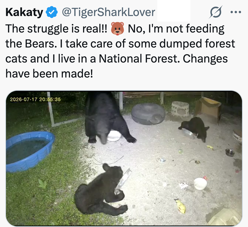 Kakaty @TigerSharkLover The struggle is real!! No, I'm not feeding the Bears. I take care of some dumped forest cats and I live in a National Forest. Changes have been made! 2026-07-17 20:55:35