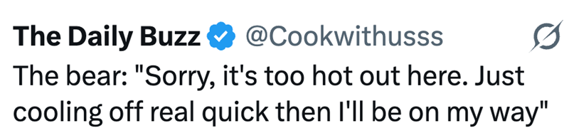 The Daily Buzz @Cookwithusss The bear: "Sorry, it's too hot out here. Just cooling off real quick then I'll be on my way"