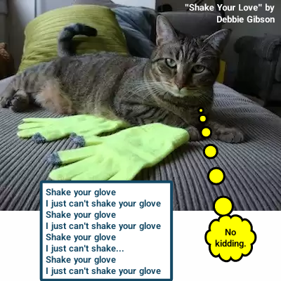 Shake your glove I just can't shake your glove Shake your glove I just can't shake your glove Shake your glove I just can't shake... Shake your glove I just can't shake your glove "Shake Your Love" by Debbie Gibson No kidding.