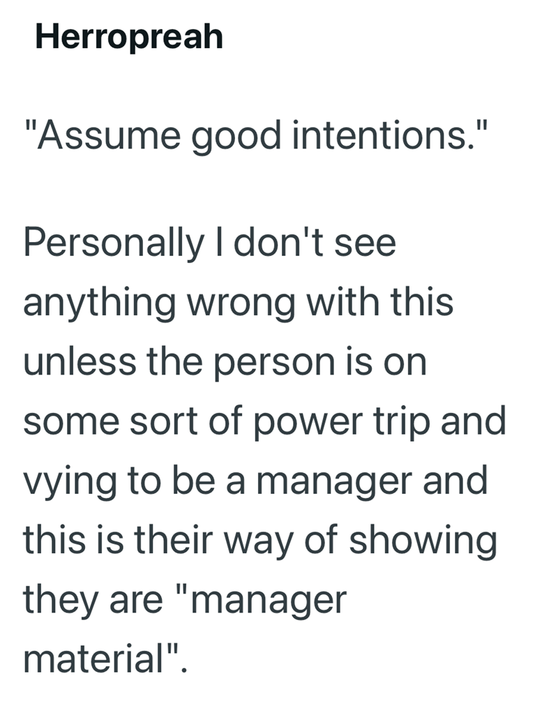 Herropreah "Assume good intentions." Personally I don't see anything wrong with this unless the person is on some sort of power trip and vying to be a manager and this is their way of showing they are "manager material".