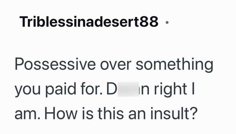 Triblessinadesert88. Possessive over something you paid for. D in right I am. How is this an insult?