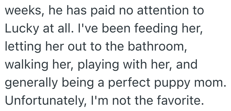 weeks, he has paid no attention to Lucky at all. I've been feeding her, letting her out to the bathroom, walking her, playing with her, and generally being a perfect puppy mom. Unfortunately, I'm not the favorite.