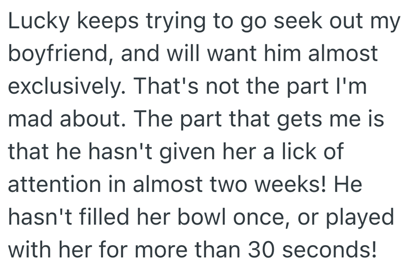 Lucky keeps trying to go seek out my boyfriend, and will want him almost exclusively. That's not the part I'm mad about. The part that gets me is that he hasn't given her a lick of attention in almost two weeks! He hasn't filled her bowl once, or played with her for more than 30 seconds!