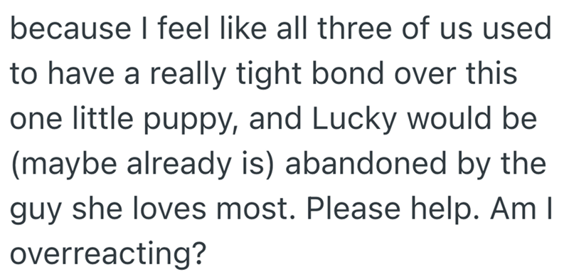 because I feel like all three of us used to have a really tight bond over this one little puppy, and Lucky would be (maybe already is) abandoned by the guy she loves most. Please help. Am I overreacting?