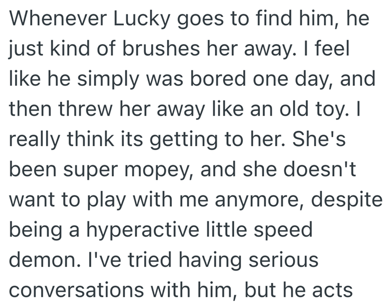 Whenever Lucky goes to find him, he just kind of brushes her away. I feel like he simply was bored one day, and then threw her away like an old toy. I really think its getting to her. She's been super mopey, and she doesn't want to play with me anymore, despite being a hyperactive little speed demon. I've tried having serious conversations with him, but he acts