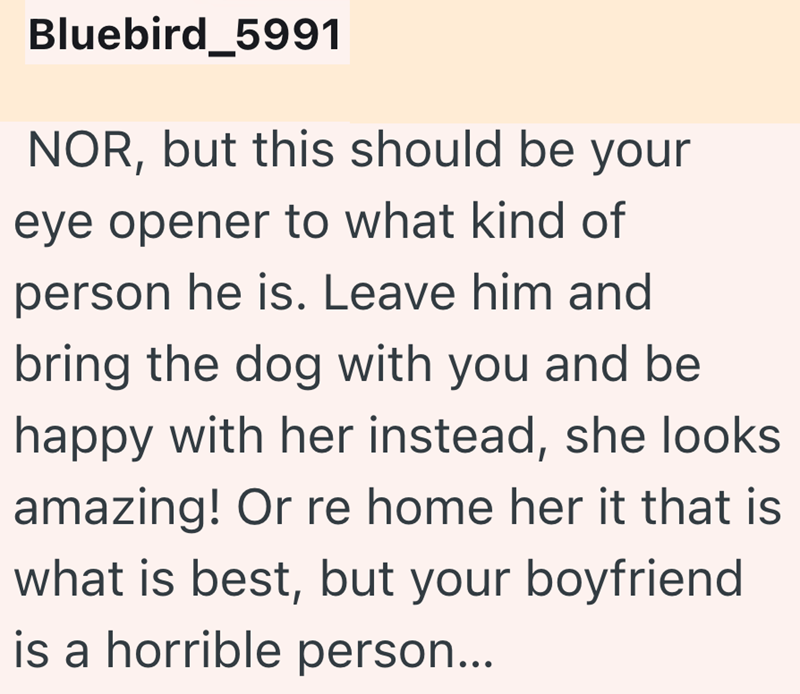 Bluebird_5991 NOR, but this should be your eye opener to what kind of person he is. Leave him and bring the dog with you and be happy with her instead, she looks amazing! Or re home her it that is what is best, but your boyfriend is a horrible person...