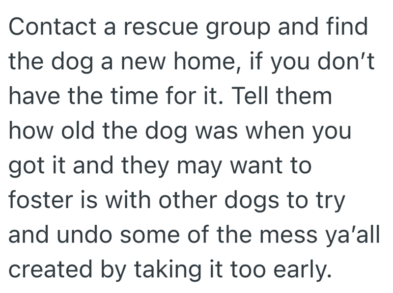 Contact a rescue group and find the dog a new home, if you don't have the time for it. Tell them how old the dog was when you got it and they may want to foster is with other dogs to try and undo some of the mess ya'all created by taking it too early.