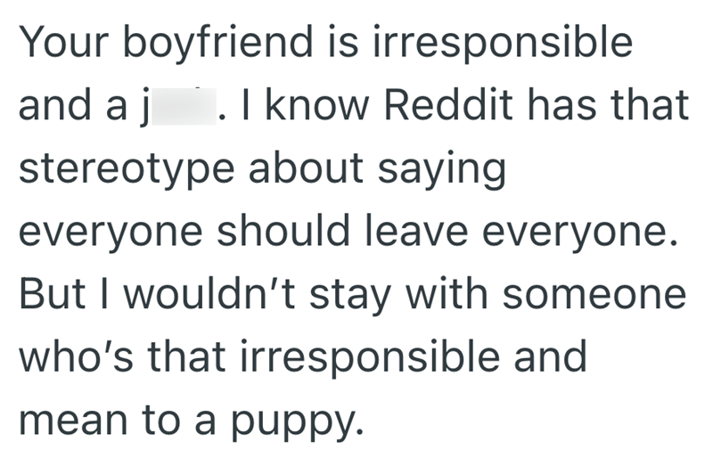 Your boyfriend is irresponsible and aj . I know Reddit has that stereotype about saying everyone should leave everyone. But I wouldn't stay with someone who's that irresponsible and mean to a puppy.
