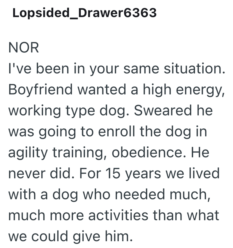 Lopsided_Drawer6363 NOR I've been in your same situation. Boyfriend wanted a high energy, working type dog. Sweared he was going to enroll the dog in agility training, obedience. He never did. For 15 years we lived with a dog who needed much, much more activities than what we could give him.