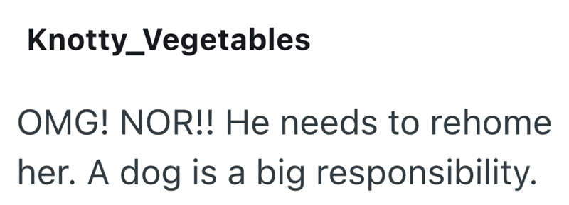 Knotty_Vegetables OMG! NOR!! He needs to rehome her. A dog is a big responsibility.