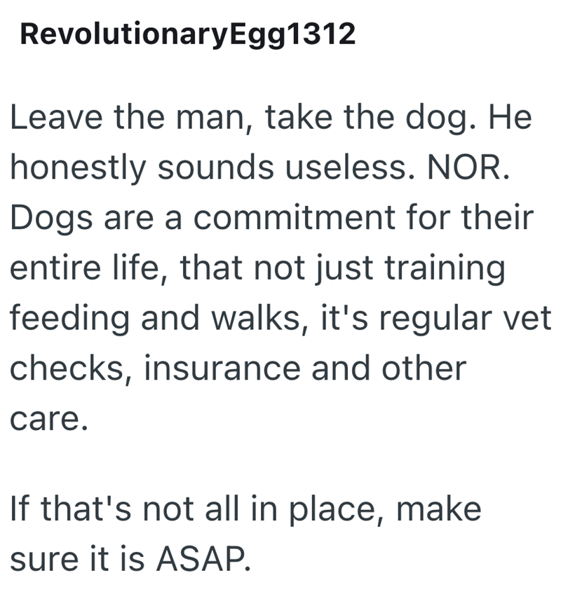 RevolutionaryEgg1312 Leave the man, take the dog. He honestly sounds useless. NOR. Dogs are a commitment for their entire life, that not just training feeding and walks, it's regular vet checks, insurance and other care. If that's not all in place, make sure it is ASAP.