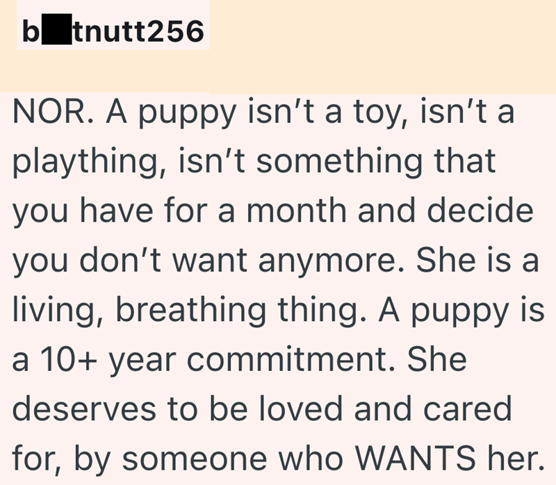 b tnutt256 NOR. A puppy isn't a toy, isn't a plaything, isn't something that you have for a month and decide you don't want anymore. She is a living, breathing thing. A puppy is a 10+ year commitment. She deserves to be loved and cared for, by someone who WANTS her.