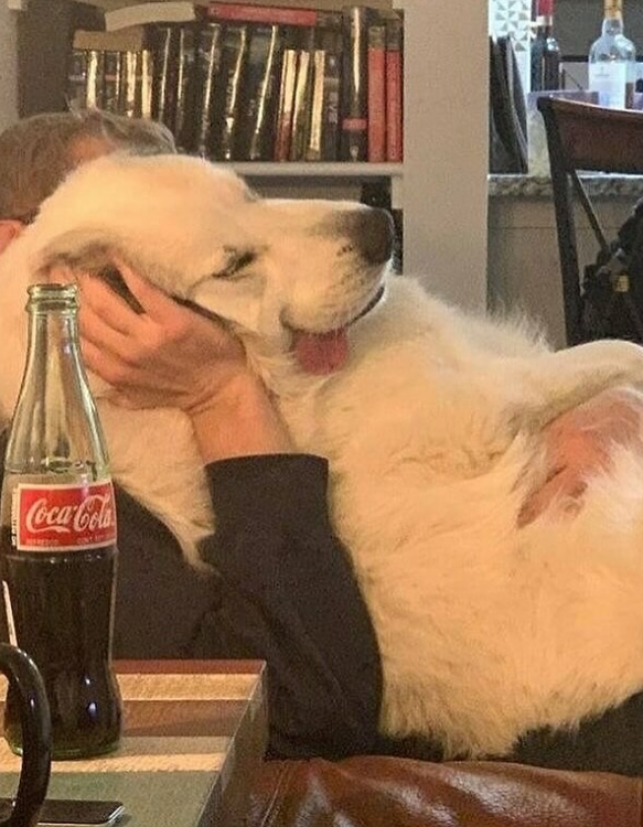 EVE Coca-Cola