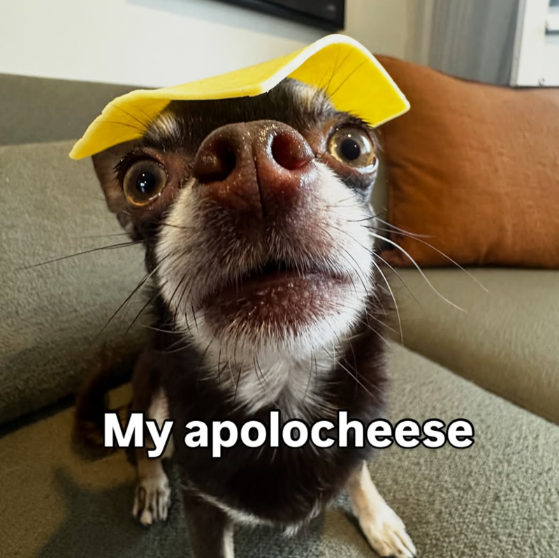 My apolocheese