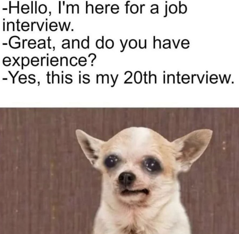 -Hello, I'm here for a job interview. -Great, and do you have experience? -Yes, this is my 20th interview.