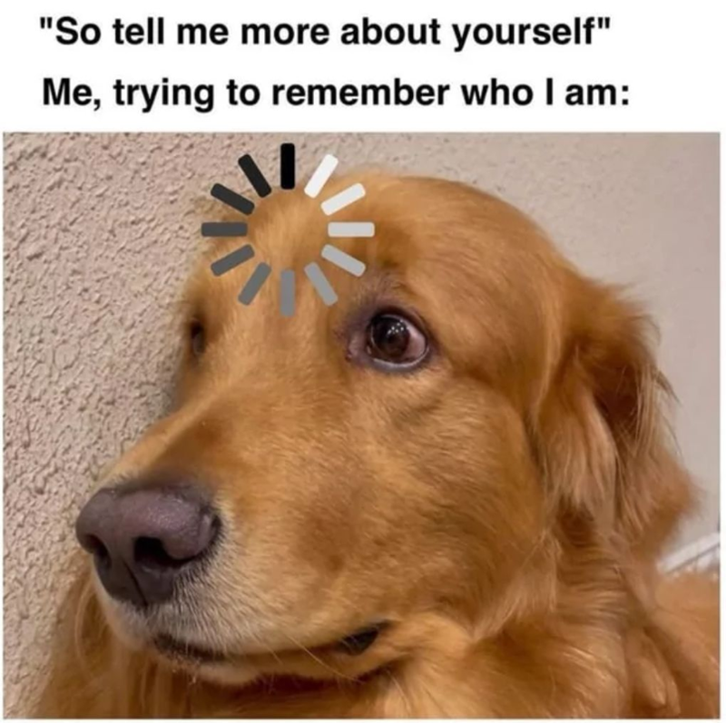 "So tell me more about yourself" Me, trying to remember who I am: