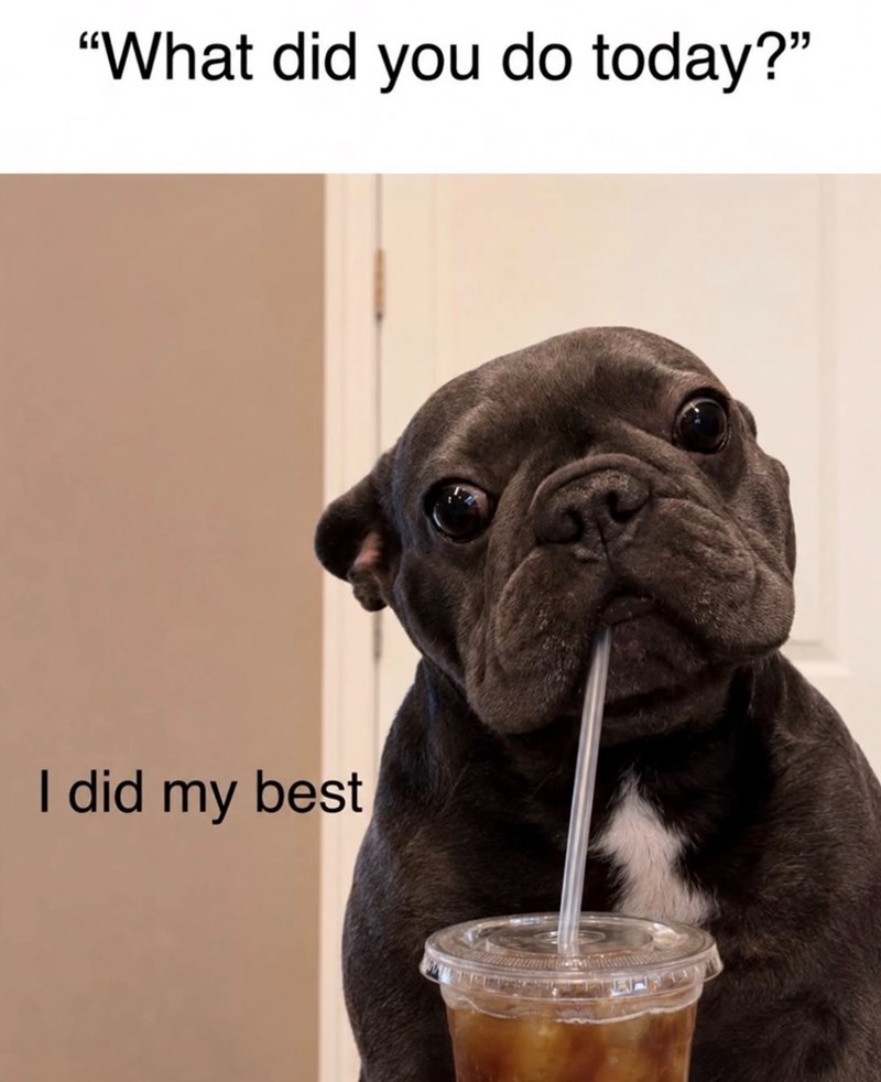 "What did you do today?" I did my best