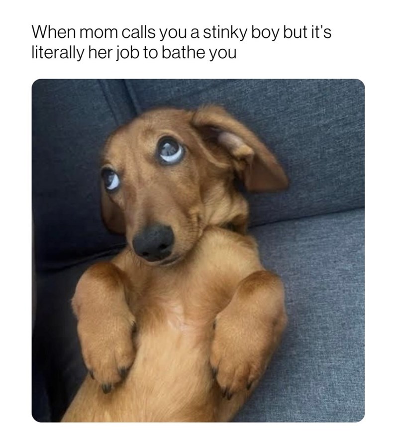 When mom calls you a stinky boy but it's literally her job to bathe you