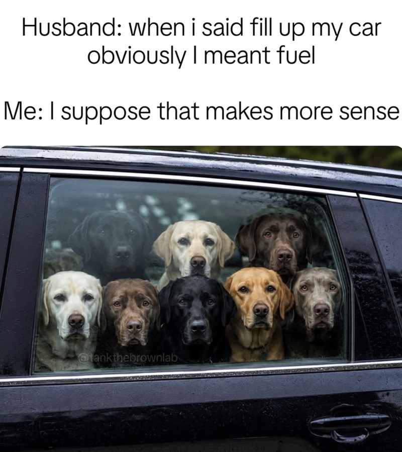Husband: when i said fill up my car obviously I meant fuel Me: I suppose that makes more sense @tankthebrownlab