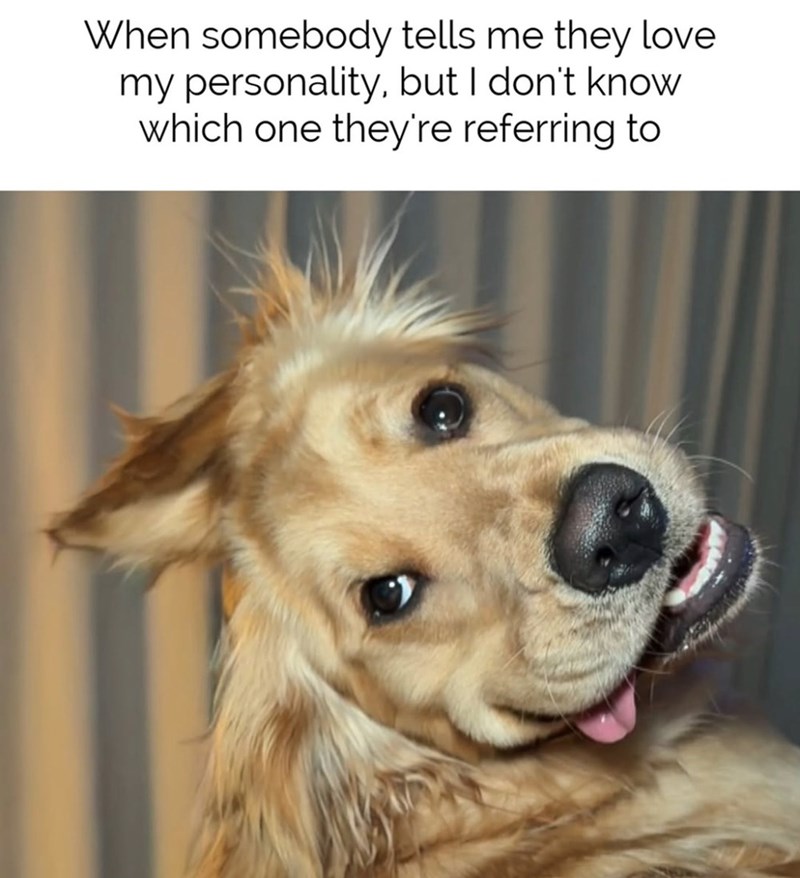 When somebody tells me they love my personality, but I don't know which one they're referring to