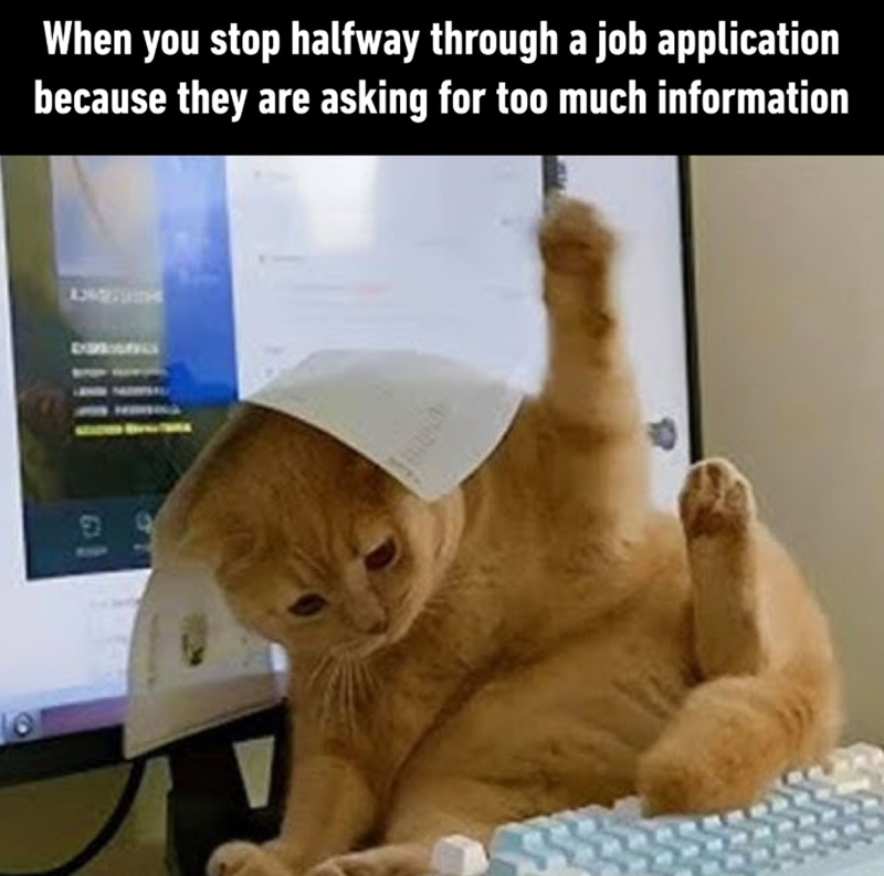 16 When you stop halfway through a job application because they are asking for too much information B