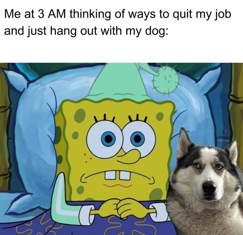 Me at 3 AM thinking of ways to quit my job and just hang out with my dog: