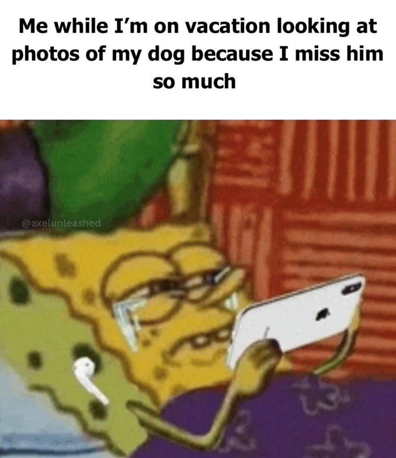 Me while I'm on vacation looking at photos of my dog because I miss him so much @axelunleashed