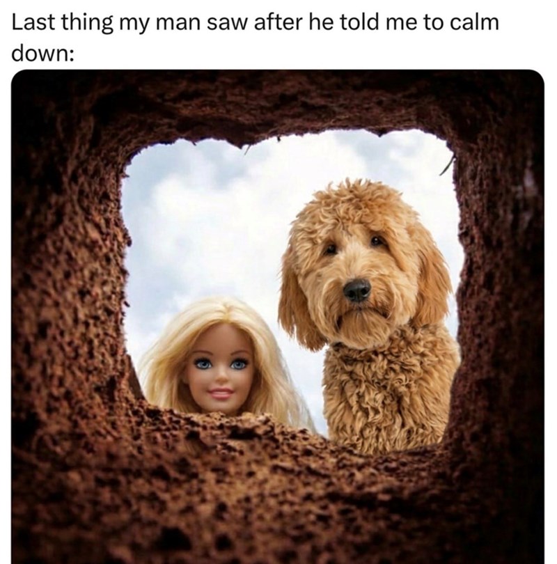 Last thing my man saw after he told me to calm down: