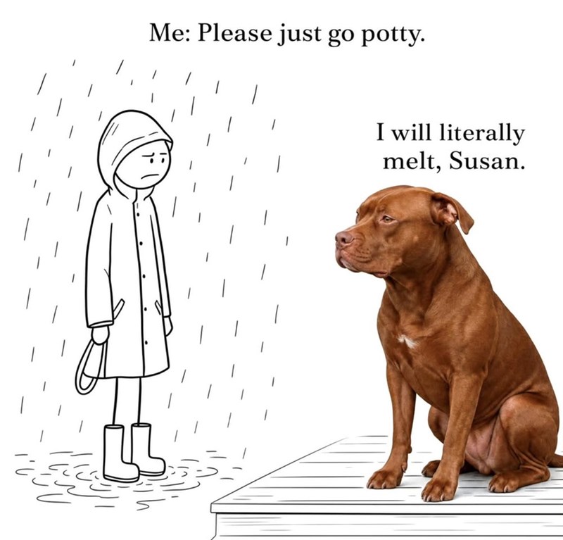 Me: Please just go potty. I will literally melt, Susan.