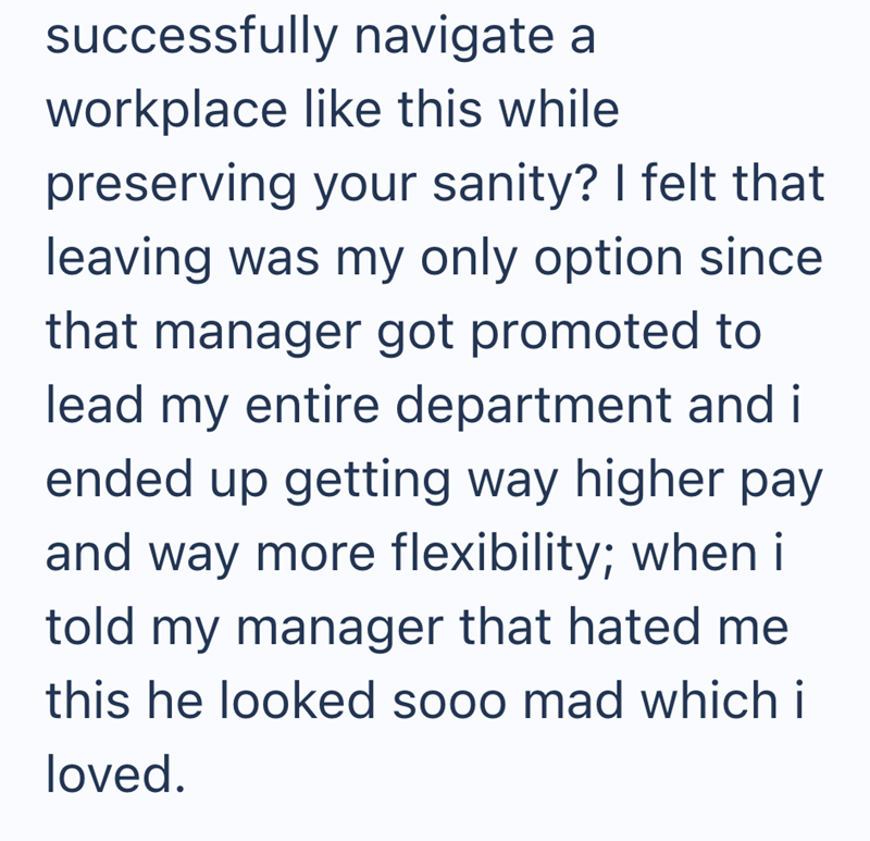 successfully navigate a workplace like this while preserving your sanity? I felt that leaving was my only option since that manager got promoted to lead my entire department and i ended up getting way higher pay and way more flexibility; when i told my manager that hated me this he looked sooo mad which i loved.