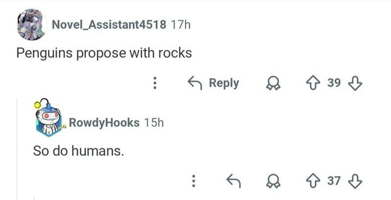 Novel Assistant4518 17h Penguins propose with rocks RowdyHooks 15h So do humans. Reply 39 ↑ +37