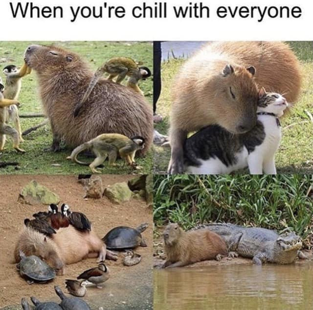 When you're chill with everyone