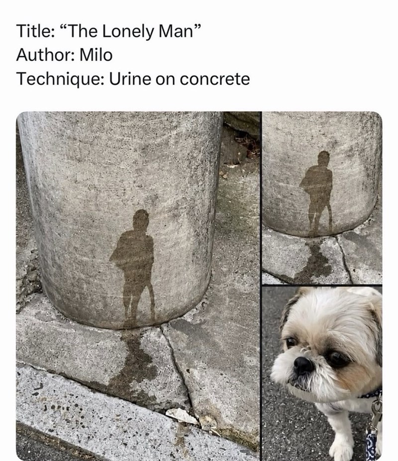 Title: "The Lonely Man" Author: Milo Technique: Urine on concrete