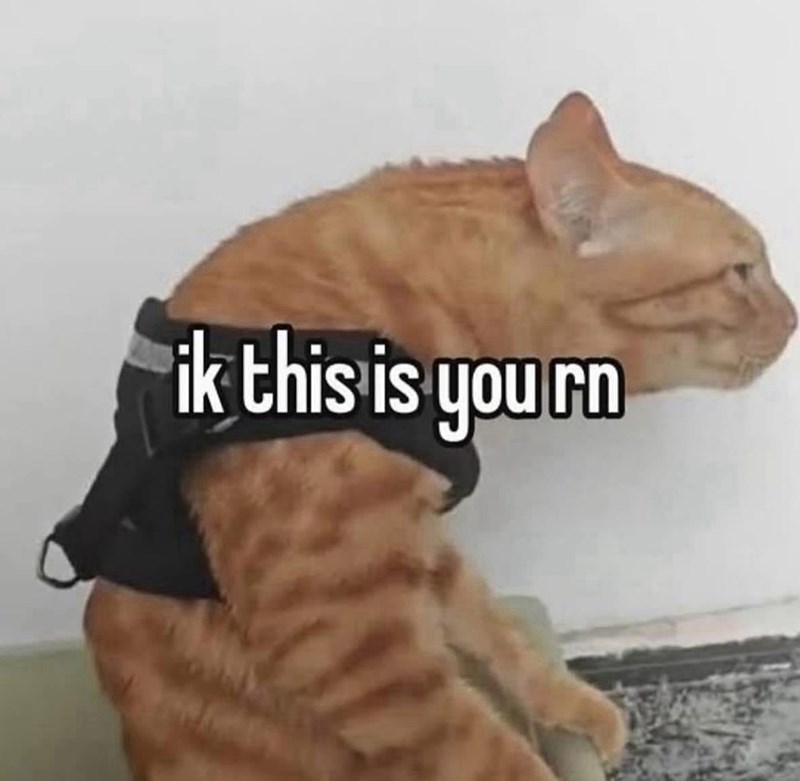 ik this is yourn