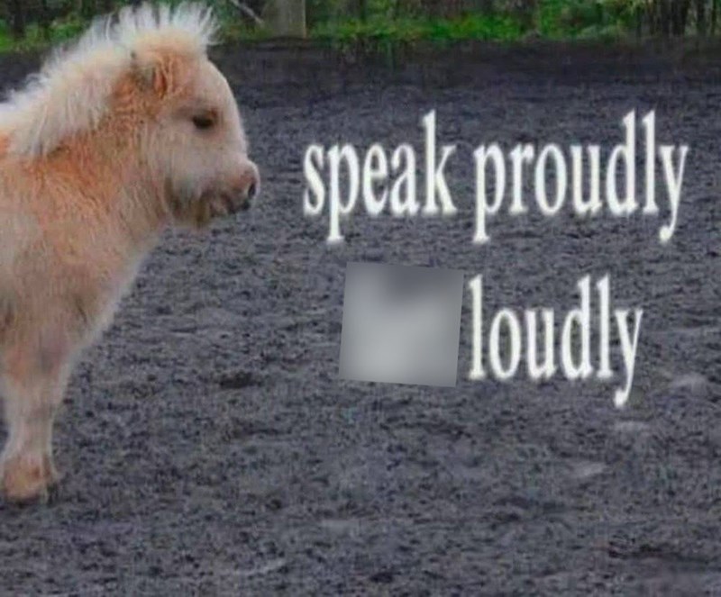 speak proudly loudly