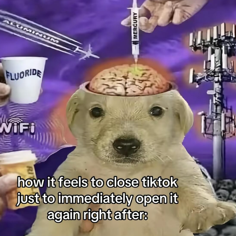 ALUMINUM FLUORIDE WiFi MERCURY how it feels to close tiktok just to immediately open it again right after: