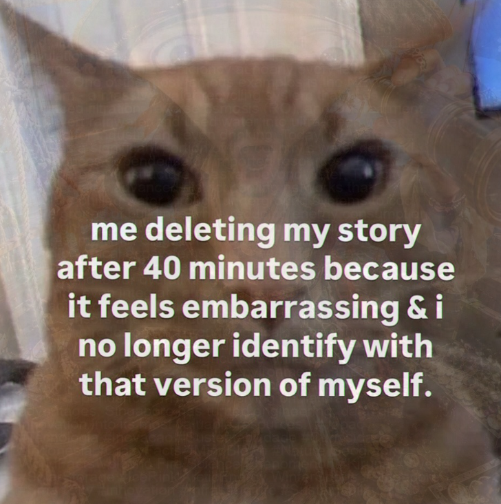 mosis wat te vanced ks tha me deleting my story after 40 minutes because it feels embarrassing & i no longer identify with that version of myself. novation