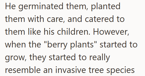 He germinated them, planted them with care, and catered to them like his children. However, when the "berry plants" started to grow, they started to really resemble an invasive tree species