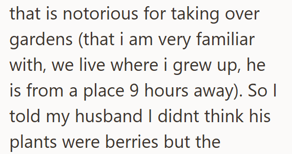 that is notorious for taking over gardens (that i am very familiar with, we live where i grew up, he is from a place 9 hours away). So I told my husband I didnt think his plants were berries but the