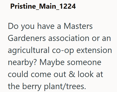 Pristine_Main_1224 Do you have a Masters Gardeners association or an agricultural co-op extension nearby? Maybe someone could come out & look at the berry plant/trees.