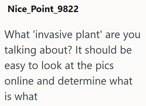 Nice_Point_9822 What 'invasive plant' are you talking about? It should be easy to look at the pics online and determine what is what