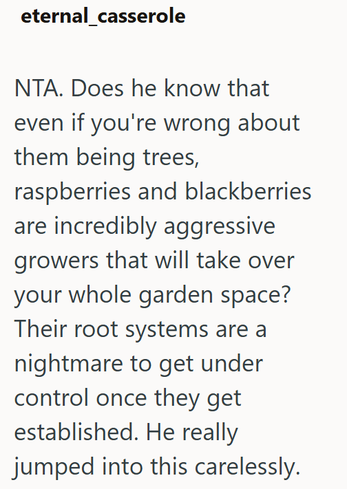 eternal_casserole NTA. Does he know that even if you're wrong about them being trees, raspberries and blackberries are incredibly aggressive growers that will take over your whole garden space? Their root systems are a nightmare to get under control once they get established. He really jumped into this carelessly.