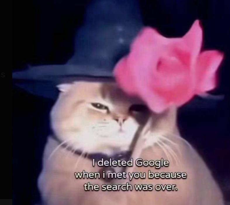 S I deleted Google when i met you because the search was over.