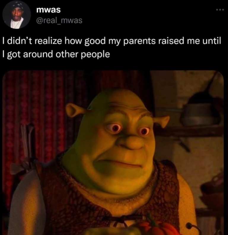 mwas @real_mwas I didn't realize how good my parents raised me until I got around other people