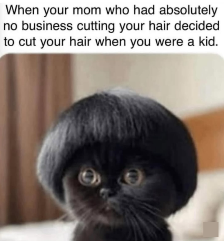 When your mom who had absolutely no business cutting your hair decided to cut your hair when you were a kid.