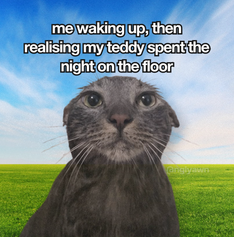 me waking up, then realising my teddy spent the night on the floor engiyawn