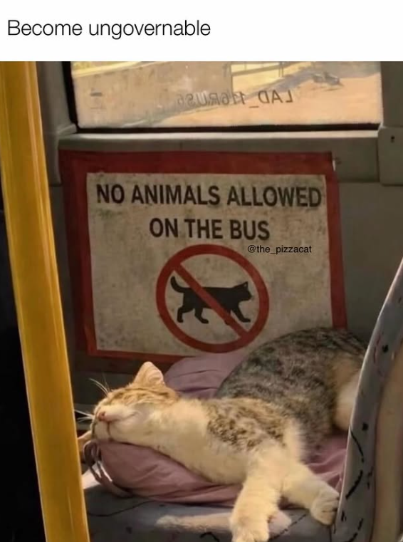 Become ungovernable NO ANIMALS ALLOWED ON THE BUS @the_pizzacat